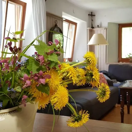 Village House Prikadet