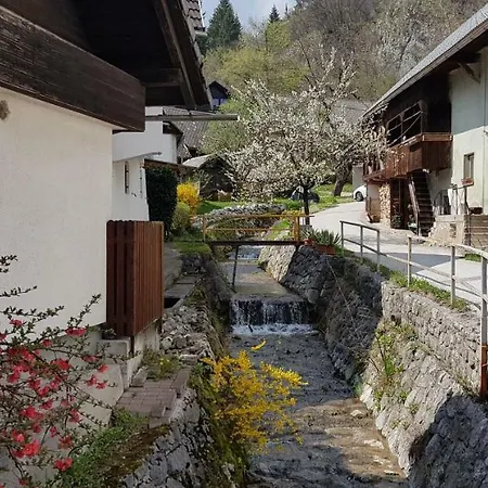 Prázdninový dům Village House Prikadet *