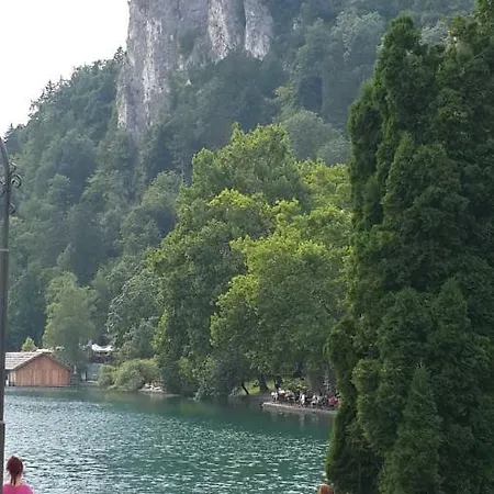 Village House Prikadet * Bohinjska Bela